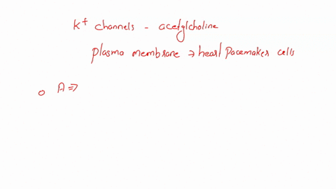 acetylcholine-can-induce-the-opening-of-k-channels-in-the-plasma-membrane-of-heart-pacemaker-cells-by-activating-nicotinic-acetylcholine-receptor-an-ion-channell-activating-pi3k-activating-m-51476