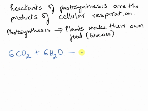 help-describe-how-the-reactants-of-photosynthesis-are-the-products-of-cellular-respiration-and-that-the-products-of-photosynthesis-are-the-reactants-of-cellular-respiration-13582