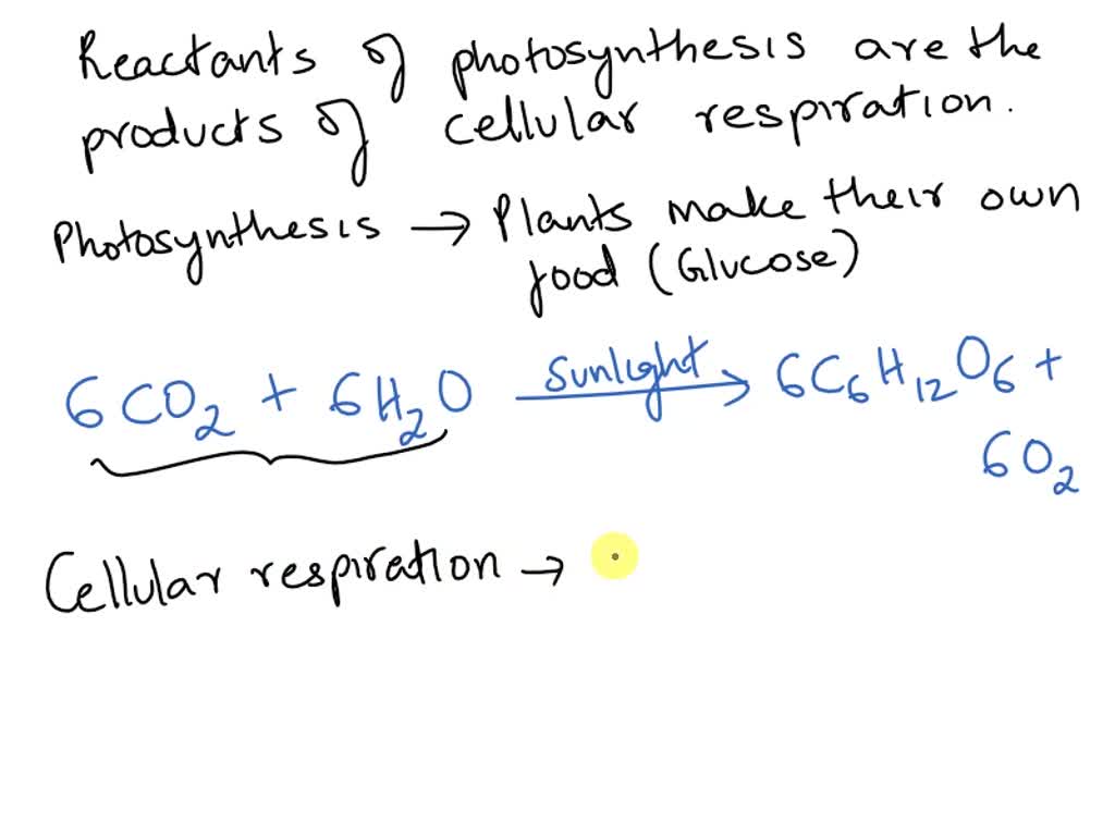 photosynthesis reactants and products