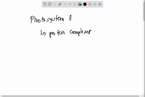 which-of-the-following-processes-requires-sunlight-adp-and-water-a-photosystem-i-b-photosystem-ii-c-90967