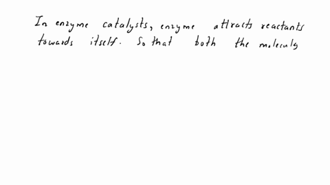 which-statement-about-enzymes-is-true-they-are-large-molecules-that-decrease-the-rate-of-reactions-in-the-body-they-are-large-molecules-that-increase-the-rate-of-biologicallyimportant-reacti-59699