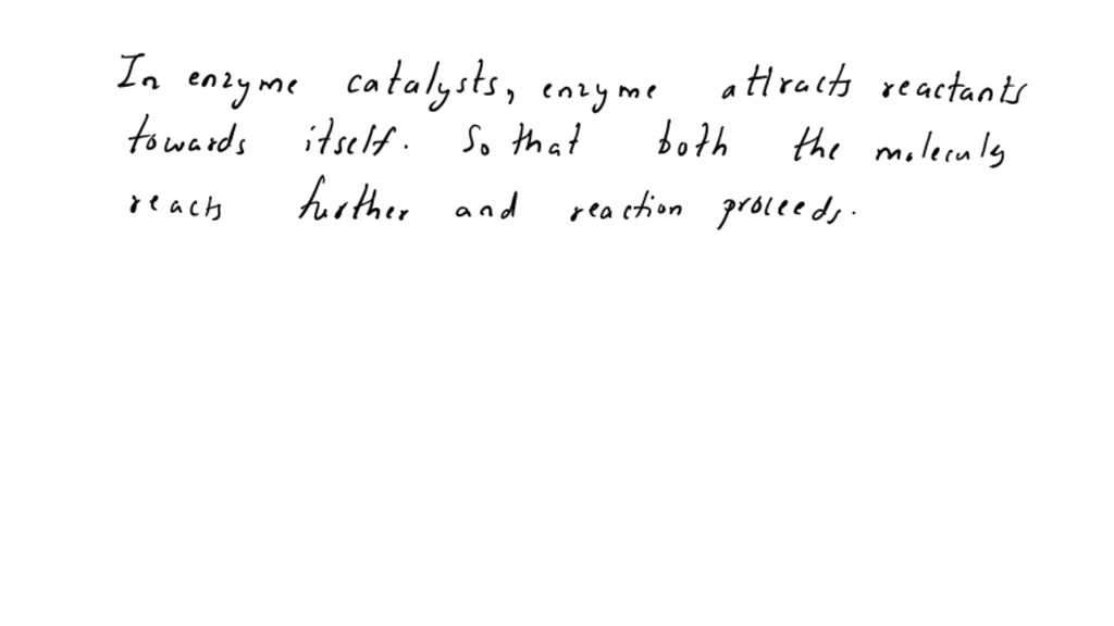 Which Statement About Enzymes Is True