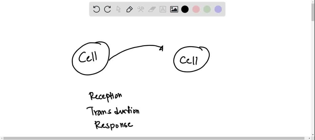 Resception Cell SOLVED: Among the three stages in signaling, which one typically has ...