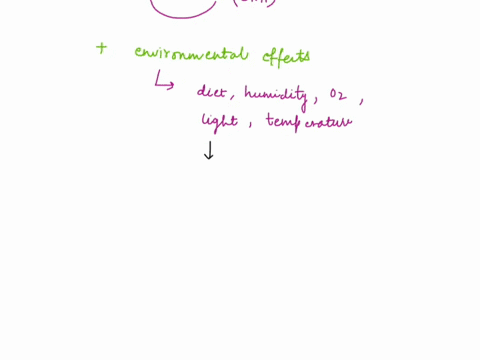 ________-are-important-to-assess-because-they-can-modify-gene-expression-genotypic-variations-phenotypic-variations-environmental-effects-mendels-________-tells-us-that-paired-genes-are-divi-70786