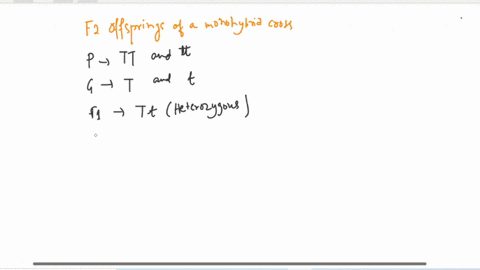 what-is-the-probability-that-f2-offspring-of-a-monohybrid-cross-will-be-homozygous-recessive-and-what-is-the-probability-that-f2-offspring-of-a-monihybrid-cross-will-be-heterozygous-41494