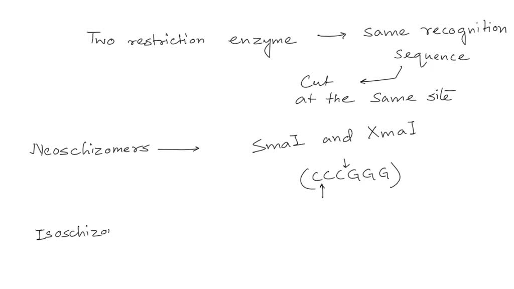 SOLVED What are costless collars, multiple triggers, and weather