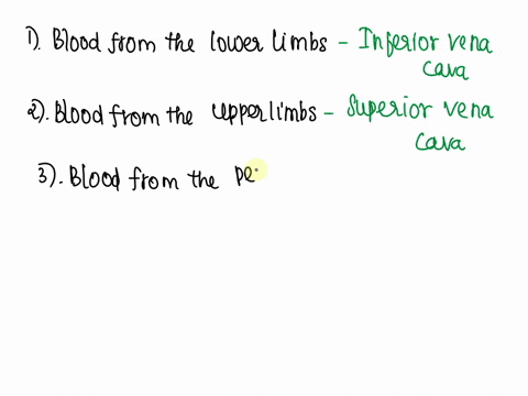 classify-the-vessels-with-the-major-vessel-to-which-they-drain-ciesify-the-vessels-with-the-major-vessel-to-which-they-drain-blood-from-the-lower-limbs-blood-from-upper-limbs-blood-from-the-65408