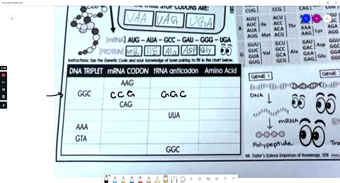 genetic-code-ecohd-letter-grab-go-notes-ucu-uau-vuu-phe-ugc-jcrs-uuc-ucc-uac-stop-uga-ston-there-s-only-one-start-codon-uca-ucg-uag-stop-ugg-uug-ccu-cgu-cuu-cac-cgc-3-cuc-ccc-lau-cga-8-the-t-56364
