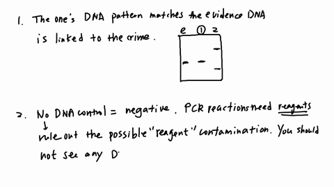 compare-the-evidence-dna-with-the-dna-from-the-two-suspects-which-suspects-dna-pattern-matches-that-generated-from-the-evidence-dna-which-suspect-is-linked-to-the-crime-1-2-what-is-the-purpo-04086