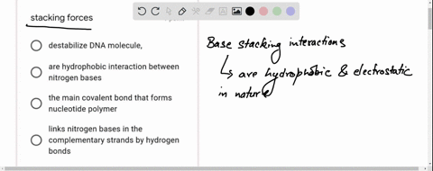 stacking-forces-point-destabilize-dna-molecule-are-hydrophobic-interaction-between-nitrogen-bases-the-main-covalent-bond-that-forms-nucleotide-polymer-links-nitrogen-bases-in-the-complementa-53042
