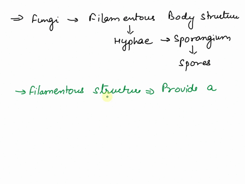 fungi-have-cells-in-a-filamentous-shape-what-purpose-to-form-haustoria-and-parasitize-other-organisms-allow-for-sexual-reproduction-to-allow-the-invasion-of-aquatic-habitats-to-provide-an-ca-05483
