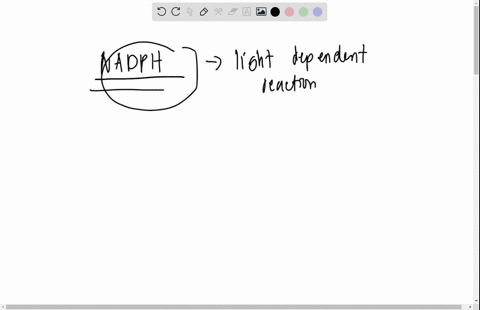 in-both-photosystem-and-photosystem-il-light-energy-is-used-to-excite-electrons-to-the-confusion-of-many-students-the-two-photosystems-were-named-in-the-order-of-their-discovery-and-not-in-t-64504