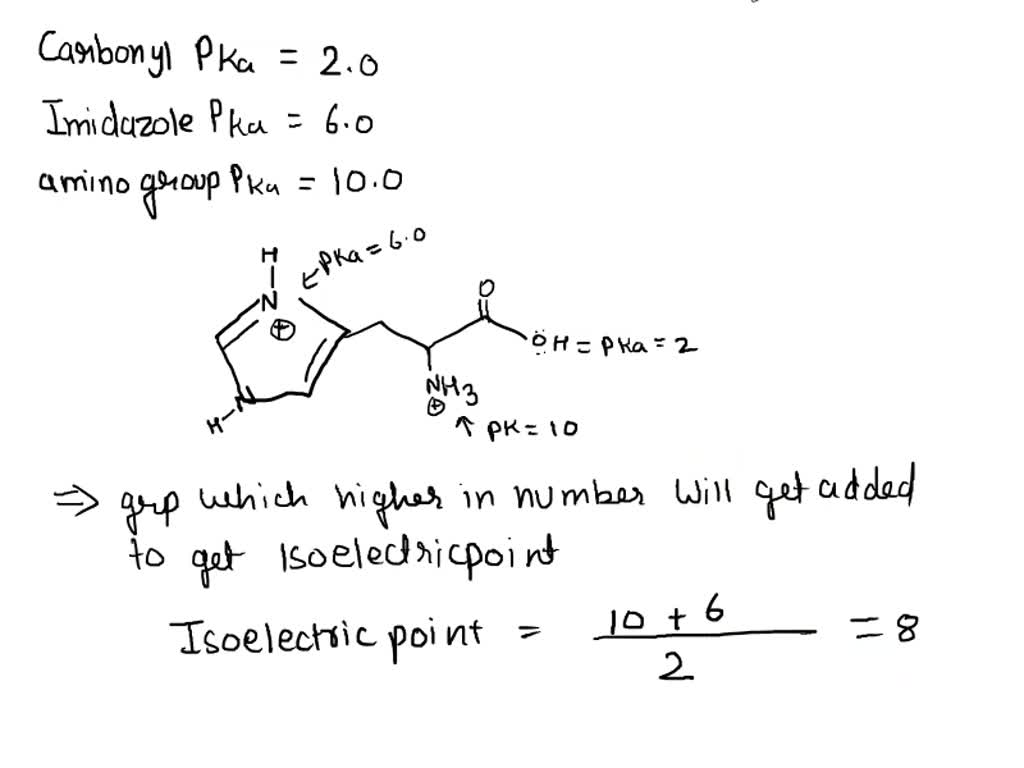 SOLVED: What is the average net charge of histidine at the pKR (the pKa ...