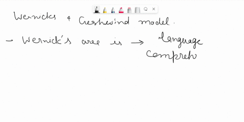 according-to-the-wernicke-geschwind-model-which-structure-transfers-information-from-the-area-of-c-2-98156
