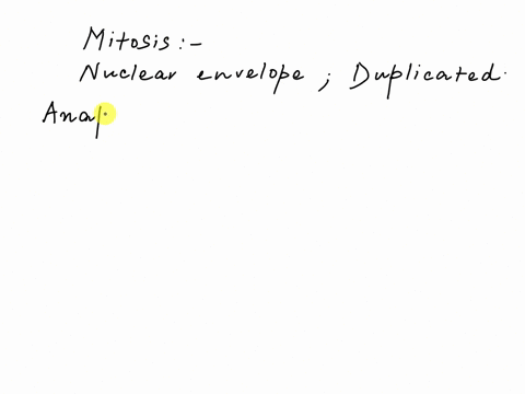 during-which-phase-of-mitosis-do-nuclear-membranes-reform-around-the-separated-copies-of-dna-anaphase-prophase-metaphase-cytokinesis-telophase-07643
