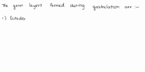 the-germ-layers-formed-during-gastrulation-are-endoderm-ectoderm-and-exoderm-b-endoderm-smooth-muscle-and-ectoderm-dermis-epidermis-and-epithelium-d-endoderm-ectoderm-and-mesoderm-09307