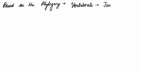 this-phylogenetic-hypothesis-shows-the-relationships-among-major-clades-of-vertebratesde-rived-characters-are-listed-for-some-cladesfor-exampleonly-gnathostomes-have-a-jawin-some-lineagesder-36006
