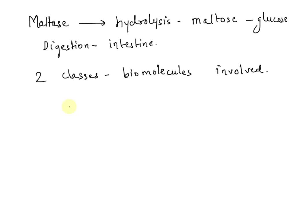 SOLVED Maltase is an enzyme that catalyzes the hydrolysis of the