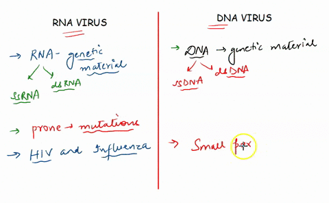 rna-viruses-vs-dna-viruses-classify-the-following-characteristics-as-describing-either-rna-or-dna-viruses-answer-choices-may-be-used-more-than-once-or-not-at-contains-ribonucleic-acid-as-gen-69676