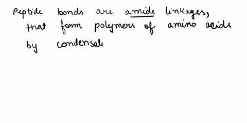 which-of-the-following-statements-about-peptide-bonds-are-true-a-peptide-bonds-are-ester-linkages-b-peptides-are-polymers-of-amino-acids-c-peptide-bond-formation-is-a-hydrolysis-reaction-d-a-01868