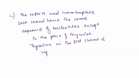 gamow-1954-proposed-that-the-structure-of-dna-deduced-by-watson-and-crick-1953-could-be-interpreted-56593