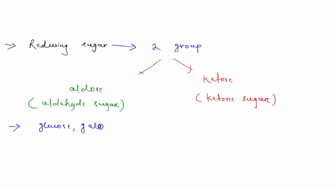 a-monosaccharide-designated-as-an-aldehyde-sugar-contains-a-a-terminal-carboxyl-group-b-an-interna-4-41653