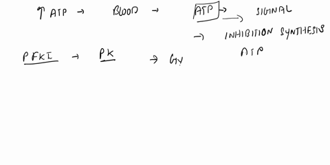 a-high-concentration-of-atp-inhibits-the-enzymes-that-are-responsible-for-glycolysis-provide-a-mechanism-to-explain-how-the-inhibition-of-these-enzymes-is-influenced-by-the-level-of-energy-d-43948