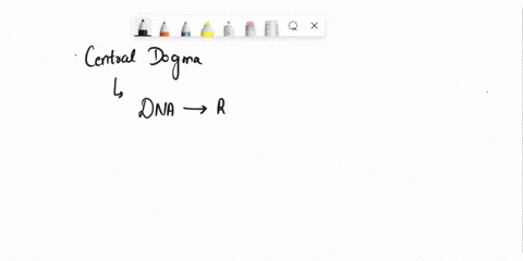 12-what-is-the-central-dogma-the-flow-of-genetic-information-from-rna-to-amino-acids-to-dna-b-the-flow-of-genetic-information-from-proteins-to-amino-acids-to-dna-4-the-flow-of-genetic-inform-34992
