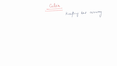 question-9-1-point-what-is-the-function-of-cilia-on-the-cells-lining-the-trachea-and-bronchi-to-increase-surface-area-for-more-efficient-gas-exchange-to-move-air-up-and-down-the-smallest-bro-55136