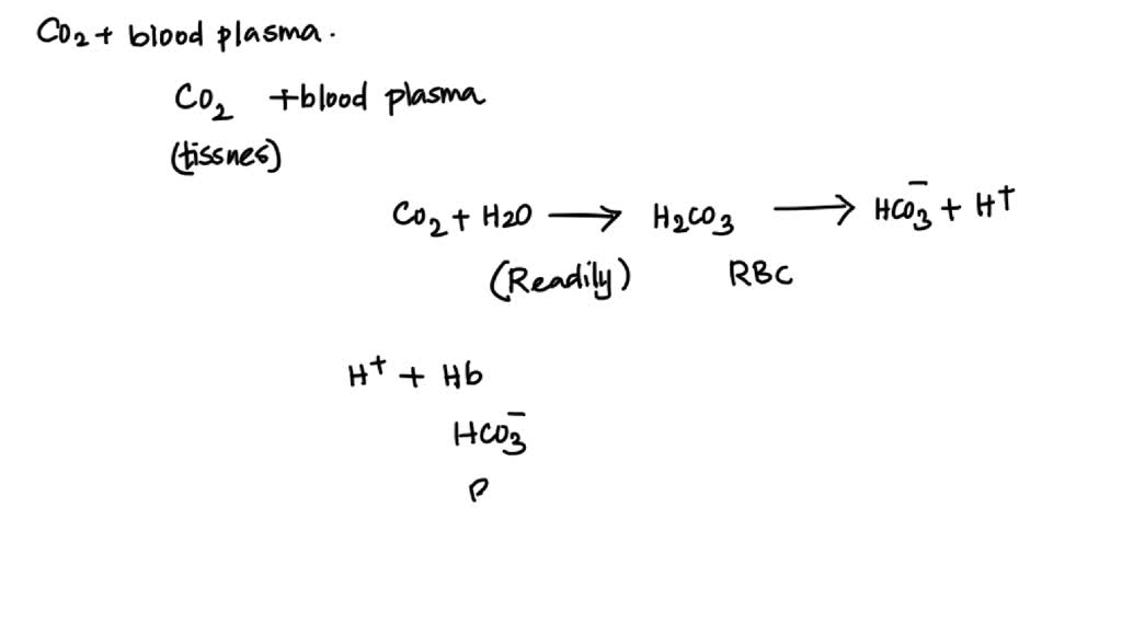 SOLVED Carbon Dioxide reacts with water in blood plasma to form