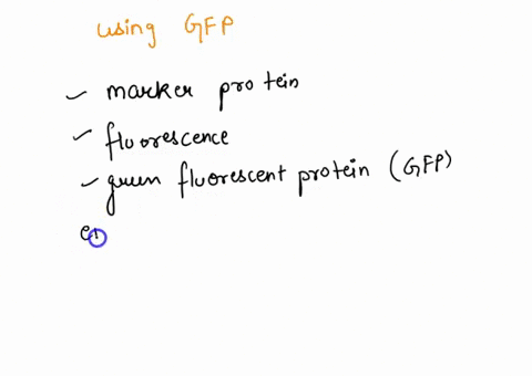 give-an-example-of-having-to-design-an-experiment-using-gfp-green-fluorescent-protein-tagging-to-monitor-the-location-of-a-protein-in-a-cell-under-different-conditions-08087