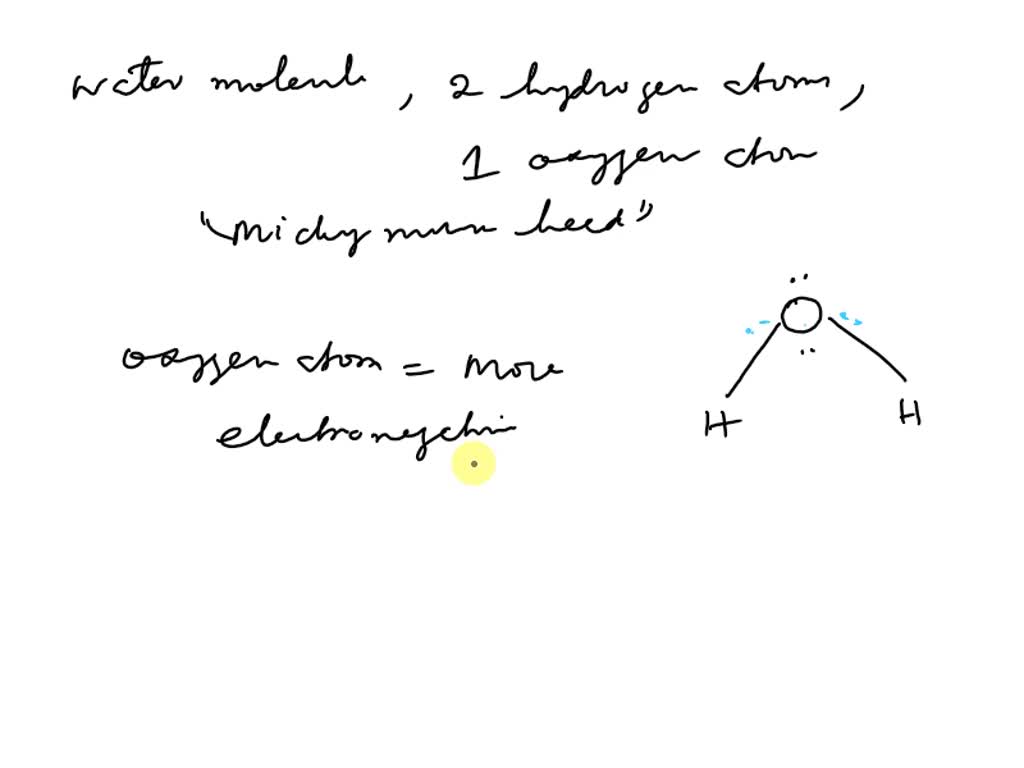 SOLVED 'Amoeba Sisters Video Selec 1. The molecule of water is described as a polar molecule