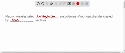 macromolecules-called-____________-are-polymers-of-monosaccharides-created-by-____________-reactions-13624
