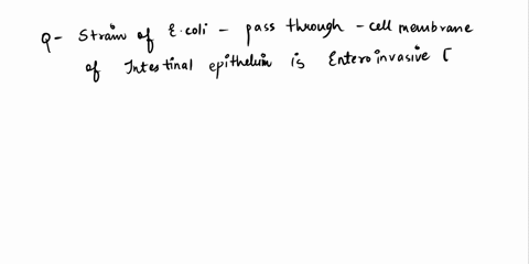 question-koint-is-strain-of-e-coli-that-can-pass-through-the-cell-membrane-of-the-intestinal-epithelium-enteroaggregative-e-coli-enteroinvasive-e-coli-enterotoxigenic-e-coli-enteropathogenic-11736