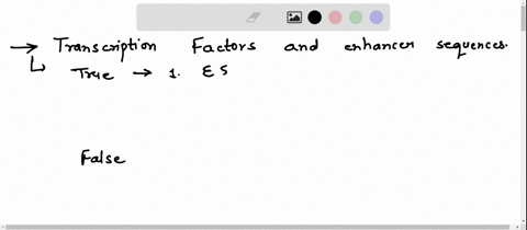 question-14-of-29-o-attempt2-in-eukaryotes-transcription-factors-and-enhancer-sequences-are-used-to-regulate-transcription-classify-the-statements-as-true-or-false-true-false-enhancer-sequen-08422