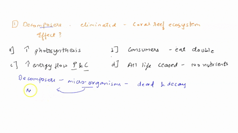 1-suppose-that-decomposers-were-eliminated-from-a-coral-reef-ecosystem-what-would-be-the-ultimate-effect-of-this-change-on-the-ecosystem-the-rate-of-photosynthesis-would-increase-the-consume-90675