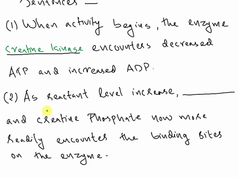 complete-each-statement-by-dragging-the-proper-word-into-the-appropriate-blank-when-activity-begins-ihe-enzyme-decreased-atp-and-increased-adp-encounters-creaiine-kinase-adp-as-reactant-leve-52816