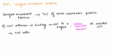 all-of-the-following-are-functions-of-integral-membrane-proteins-except-a-cell-adhesion-b-protein-synthesis-c-hormone-reception-d-active-transport-e-cytoskeleton-attachment-87338