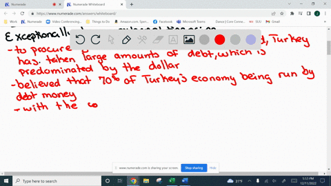 please-help-with-following-case-question-in-august-of-2018-the-turkey-lira-depreciated-sharply-against-the-us-dollar-the-underlying-causes-behind-the-depreciation-of-the-lira-arethe-exceptio-49247