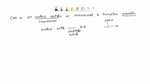 question-5-not-yet-answered-there-are-nine-essential-amino-acids-and-eleven-nonessential-amino-acids_-what-is-a-nonessential-amino-acid-marked-out-of-050-select-one-an-amino-acid-only-availa-31916