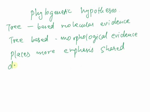 consider-the-two-phylogenetic-hypotheses-regarding-the-relationships-of-the-animal-phyla-the-tree-that-is-based-on-molecular-evidence-differs-from-the-tree-based-on-morphological-evidence-in-22718