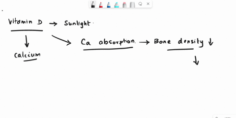 an-individual-with-very-low-levels-of-vitamin-d-presents-themselves-to-you-complaining-of-seemingly-fragile-bones-explain-how-these-might-be-connected-96238