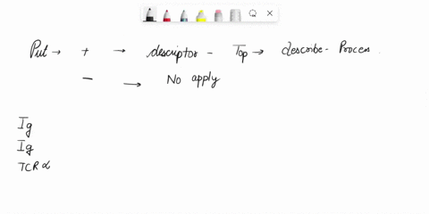 table-accurately-descriptor-at-the-top-of-the-put-d-in-any-space-where-the-where-the-description-does-in-the-following-table-_-the-left-hand-side-and-or-mol-lecules-shown-on-describes-the-pr-45206