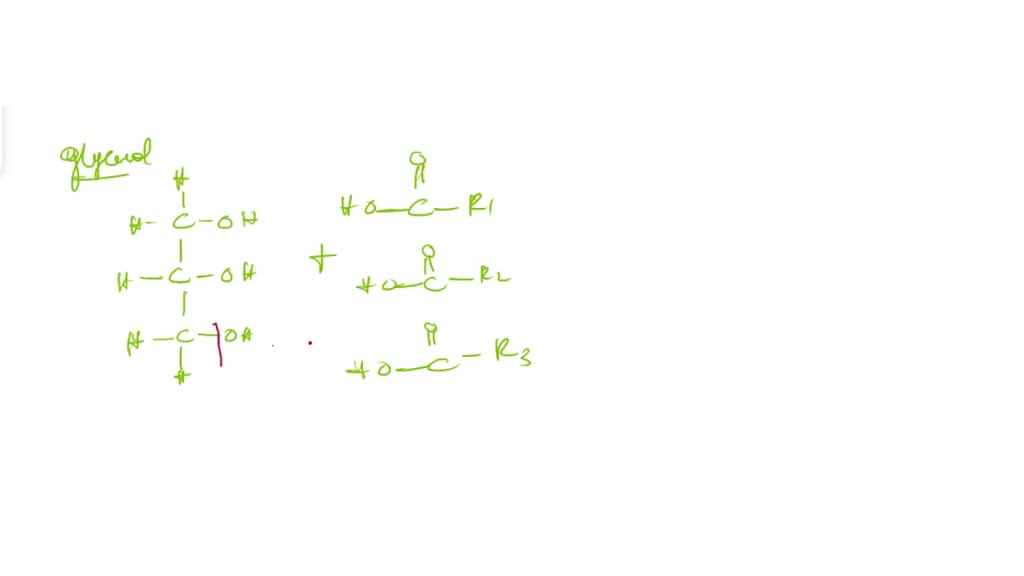 SOLVED 3) Triglycerides are constructed with one molecule of glycerol