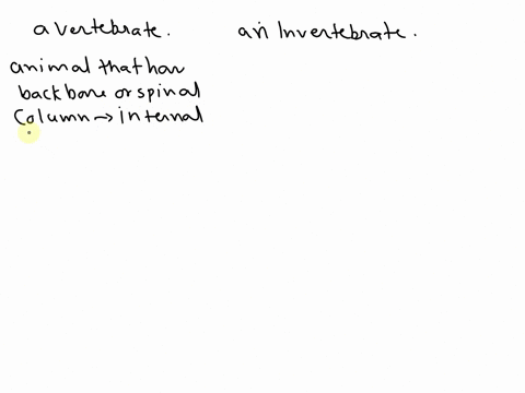 what-is-the-major-diference-between-a-vertebrate-and-an-invertebrate-44116
