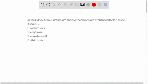 in-the-kidney-tubule-potassium-and-hydrogen-ions-are-exchanged-for-15-marks-a-inulin-b-sodium-ions-c-creatinine-d-angiotensin-ii-e-nitric-oxide