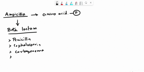 the-name-of-the-general-class-of-enzyme-that-ecoli-must-possess-to-permit-it-to-inactivate-ampicillin-whats-the-name-of-the-gene-for-this-enzyme-86293