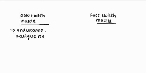 how-do-slow-and-fast-twitch-muscle-fibers-differ-45587