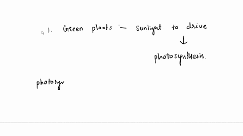 grecn-plants-ight-from-the-sun-drtvc-photosynthesis-phorosynthests-icoq-ormi-the-simple-5ug-alucose-e-ch1zos-ond-oxygen-4us-01-wnatants-maler-consumed-by-the-rcaction-curbor-doxlde-et-answc-61071