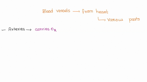 name-the-blood-vessels-that-carry-blood-from-the-heart-to-the-various-parts-of-the-body-90881